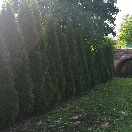 Kalemegdan * Cortanovci